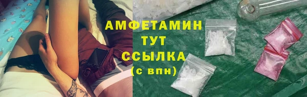 гидра Белокуриха