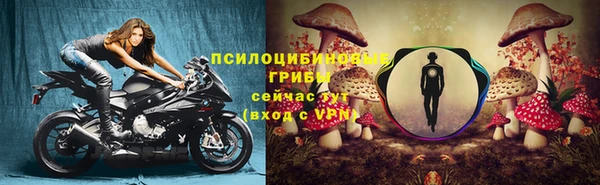 mdpv Баксан