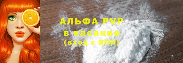 гидра Белокуриха